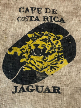 Preview: Costa Rica Superior