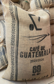 Preview: Guatemala Antigua